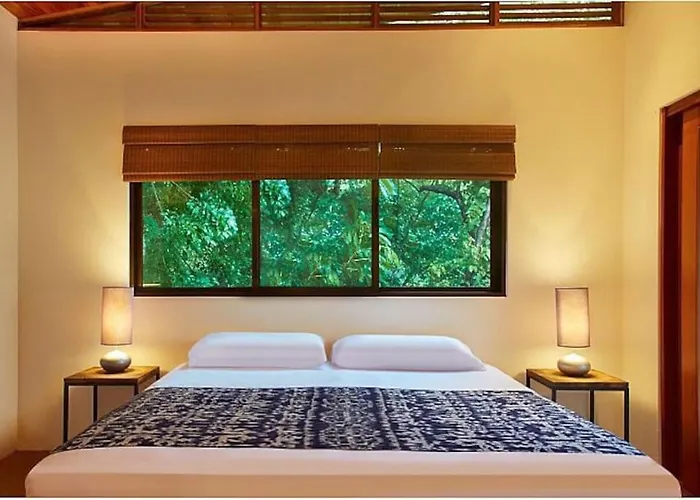Casa Canopy *